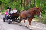 Dzie Latawca w Straduniu, czyli wiele uciechy dla dzieci i dorosych