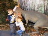 Zerwka na warsztatach paleontologicznych