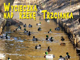 Nad rzek Trzcianka