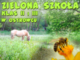 Zielona szkoa klas II i III w Ostrowcu